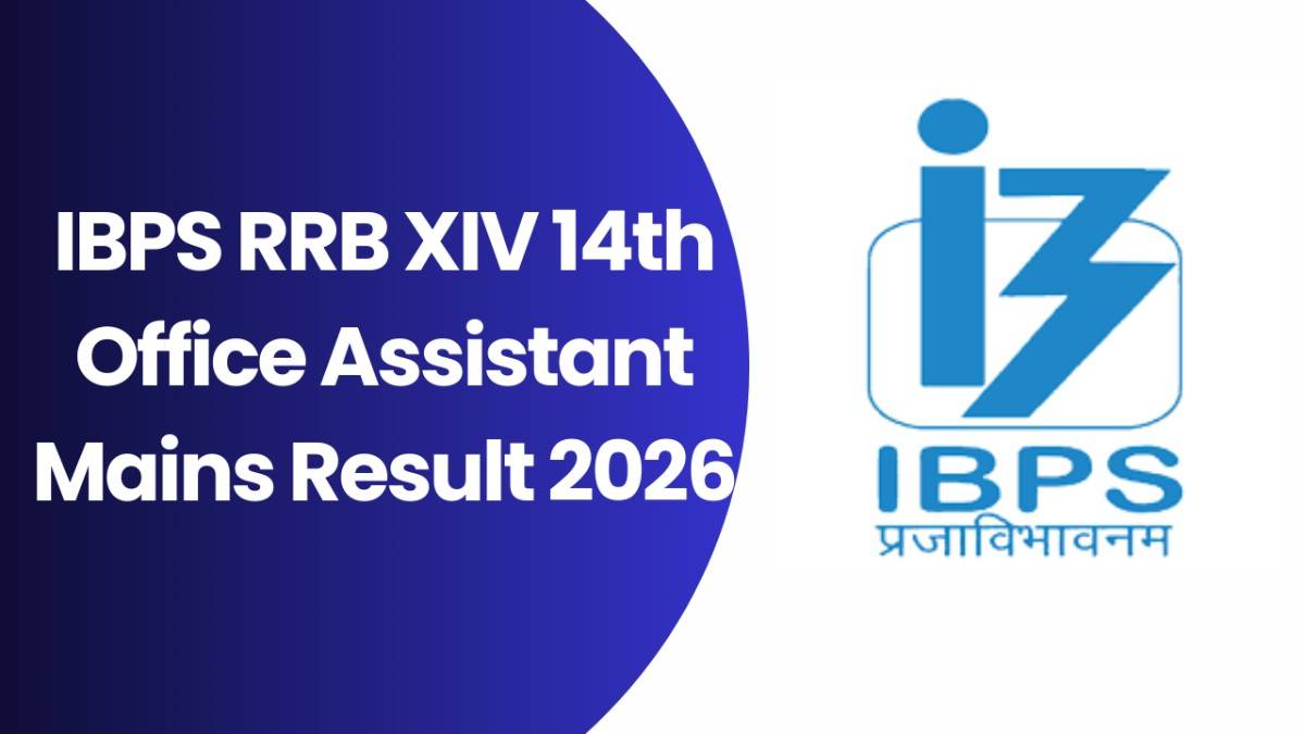IBPS RRB XIV 14th Office Assistant Mains Result 2026
